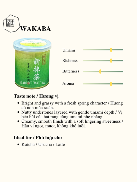 Yamamasa Koyamaen Wakaba