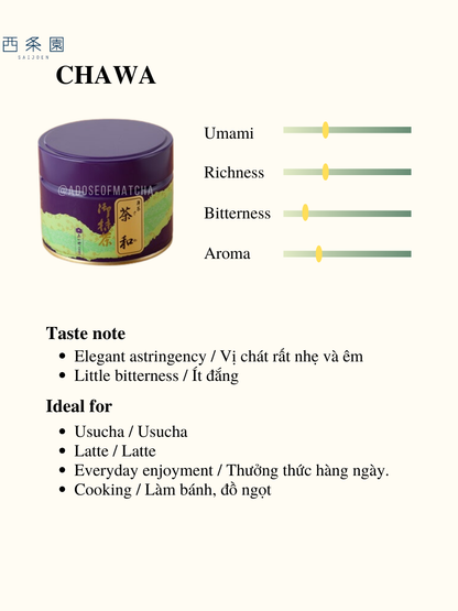 Chawa from Saijoen – Best Affordable Ceremonial Matcha for Daily Enjoyment