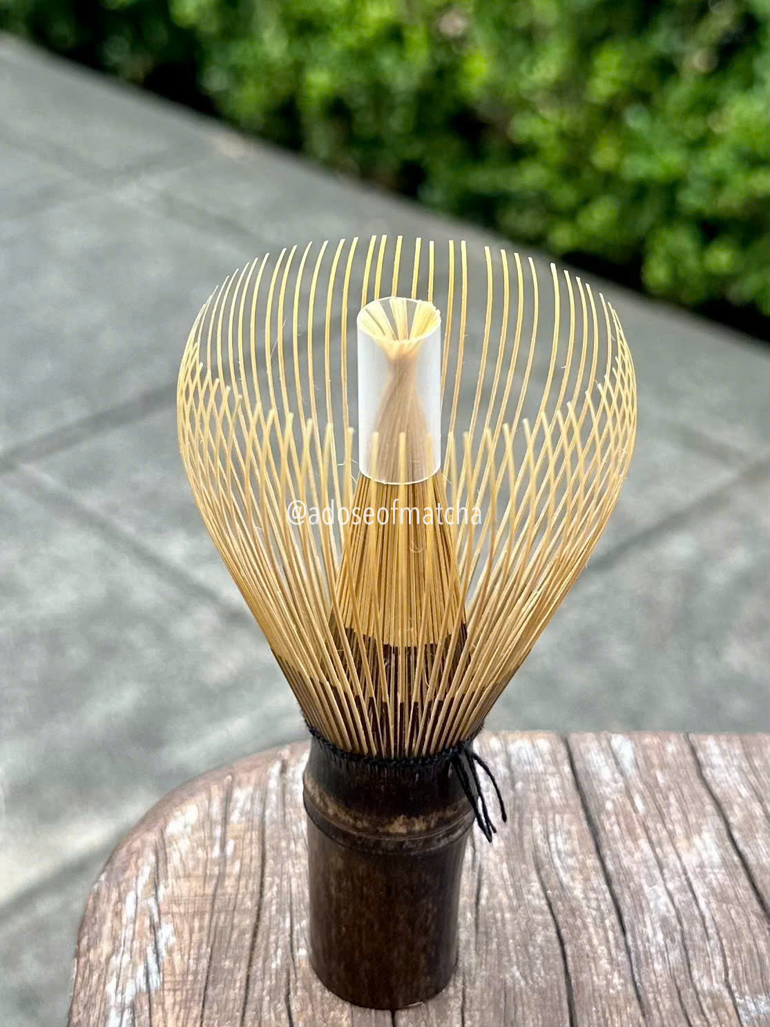 Bamboo Whisk (Chasen)